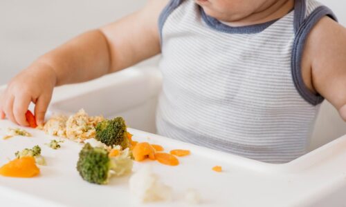 ALIMENTACION COMPLEMENTARIA RESPETUOSA (con mentoría)